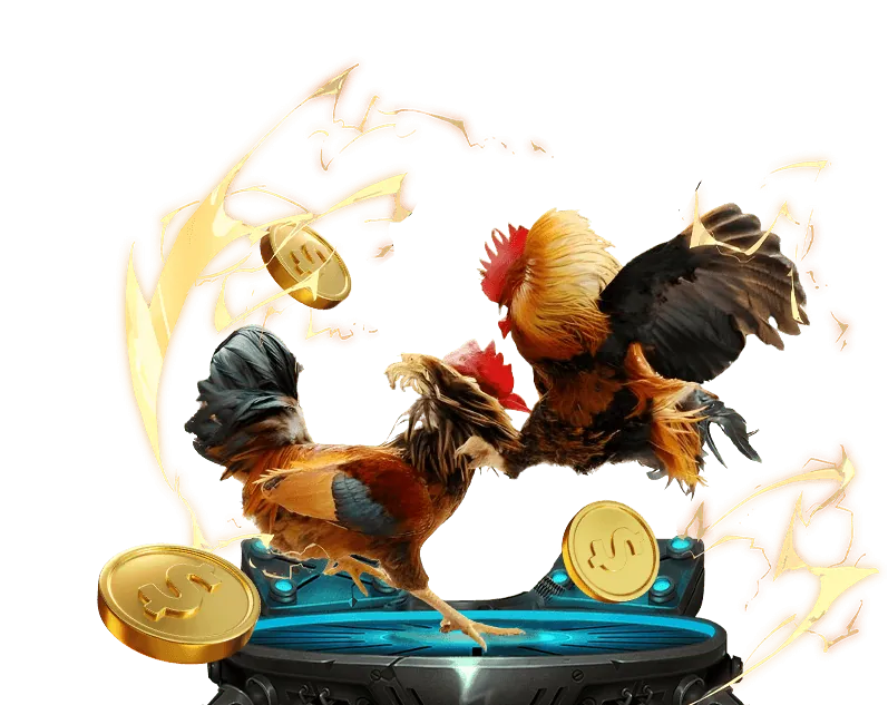 Hỗ trợ đối tác